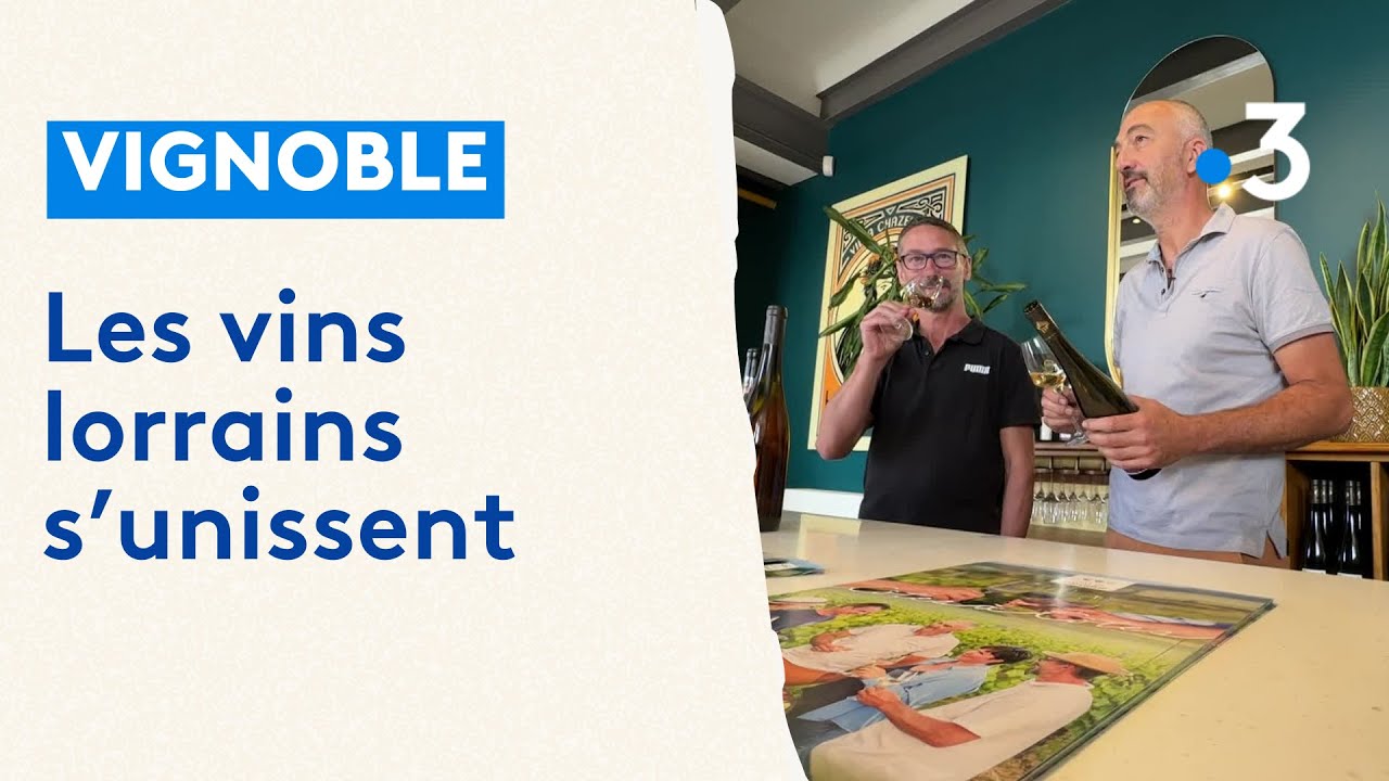 Vignoble : les vins de Toul, de Meuse et de Moselle s'unissent