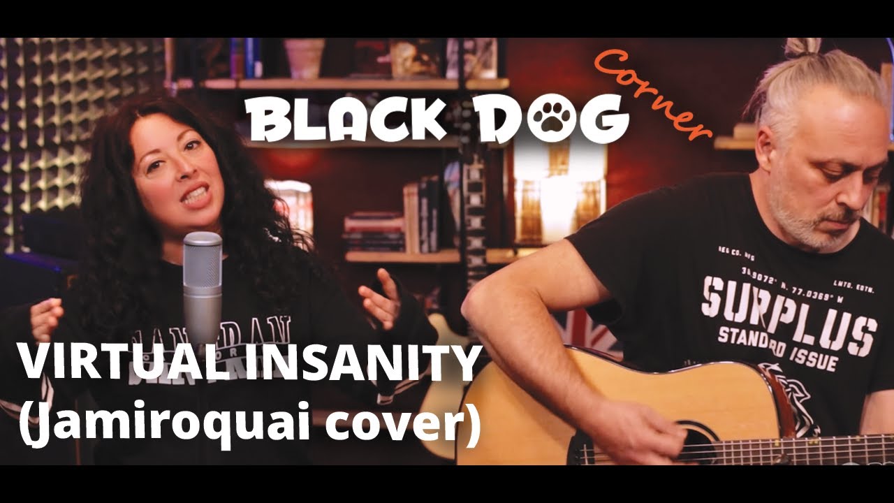 Virtual Insanity (Jamiroquai acoustic cover) - Sistahfunk at the BLACK DOG Corner
