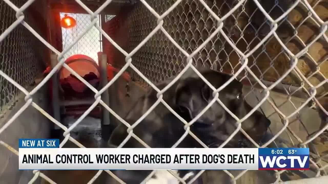 Jefferson County animal control officer arrested amid animal cruelty investigation
