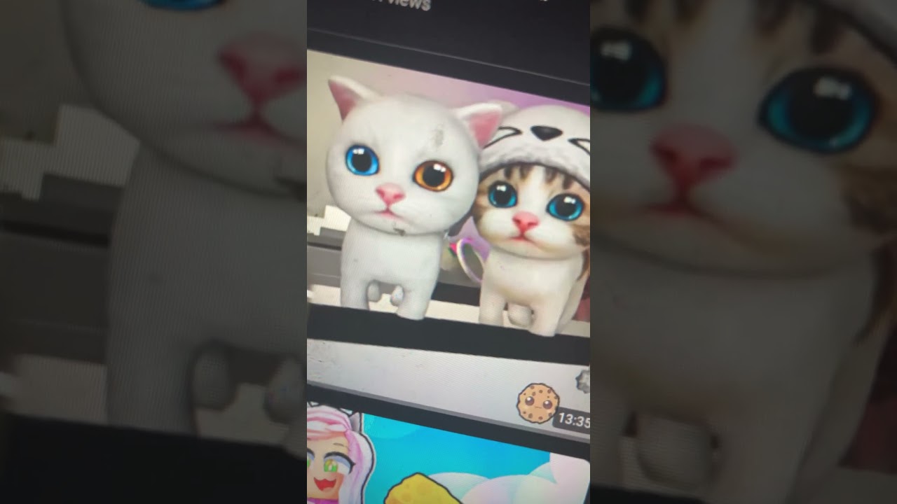 Pet party #rap #party #partyrap #cute #cat #partymusic #roblox #partysongs #funny #catfunny