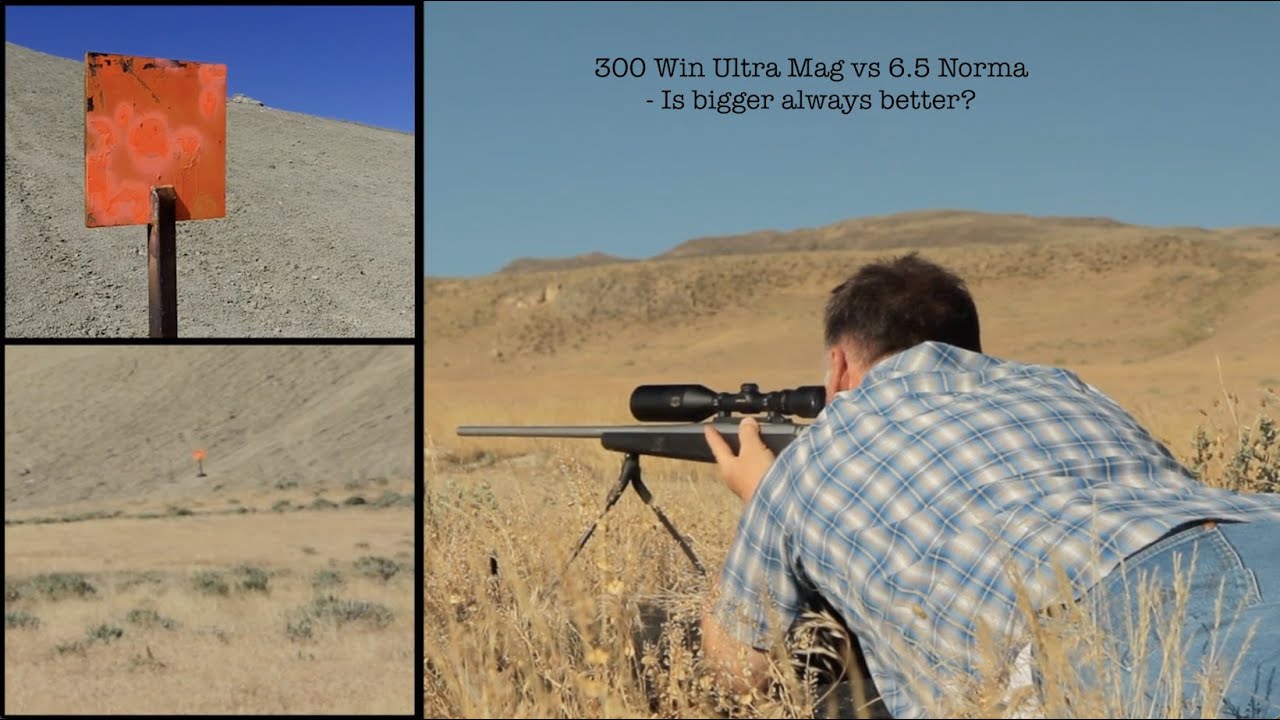 Remington 300 Ultra Mag vs  Royal Rifle 6.5 x 284 Norma