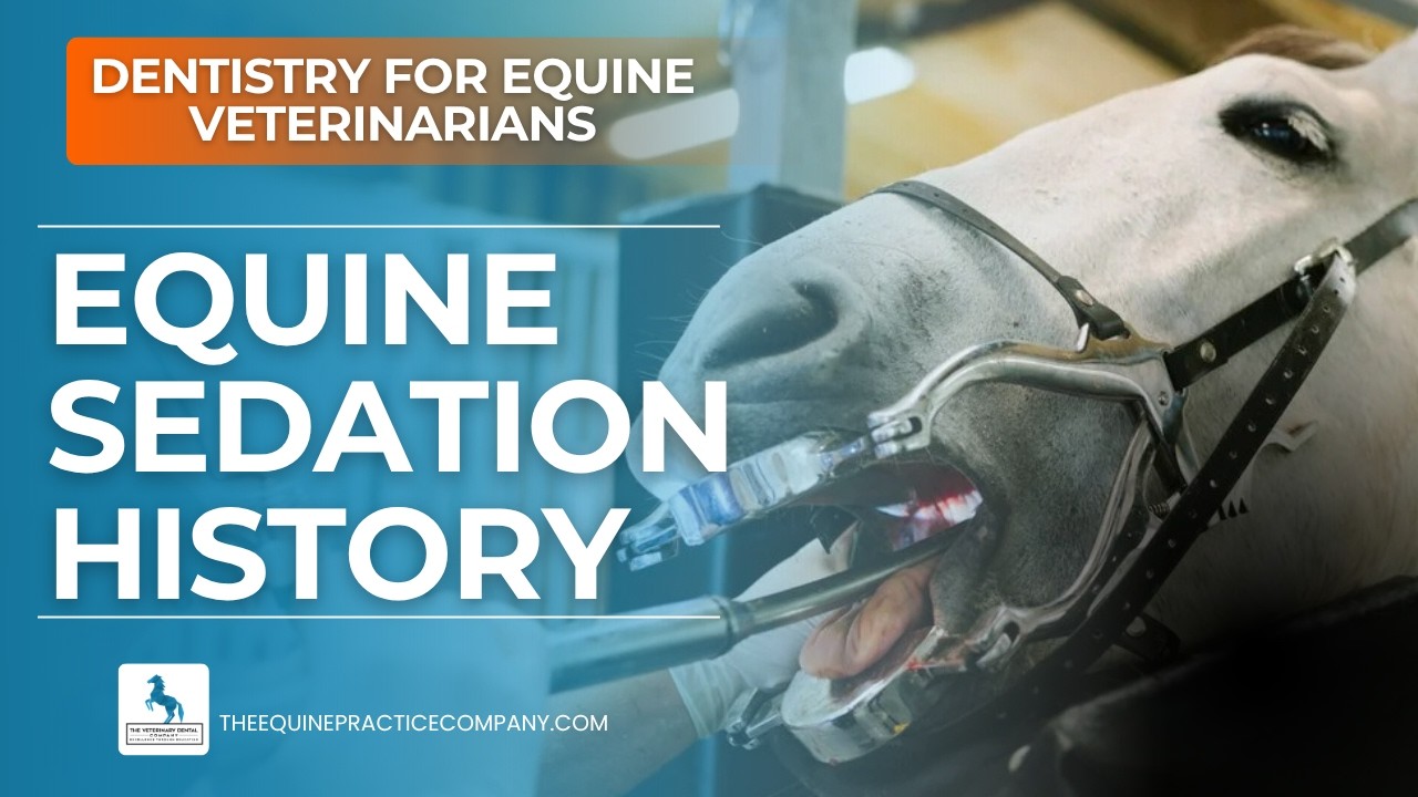 Equine Sedation History: How Xylazine Transformed Veterinary Care