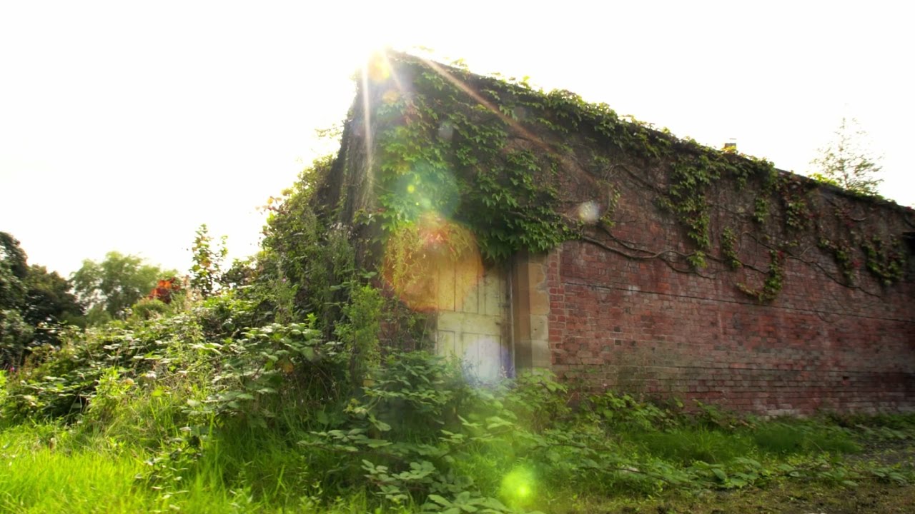 Finding our fifth garden | RHS Garden Bridgewater | Royal Horticultural Society