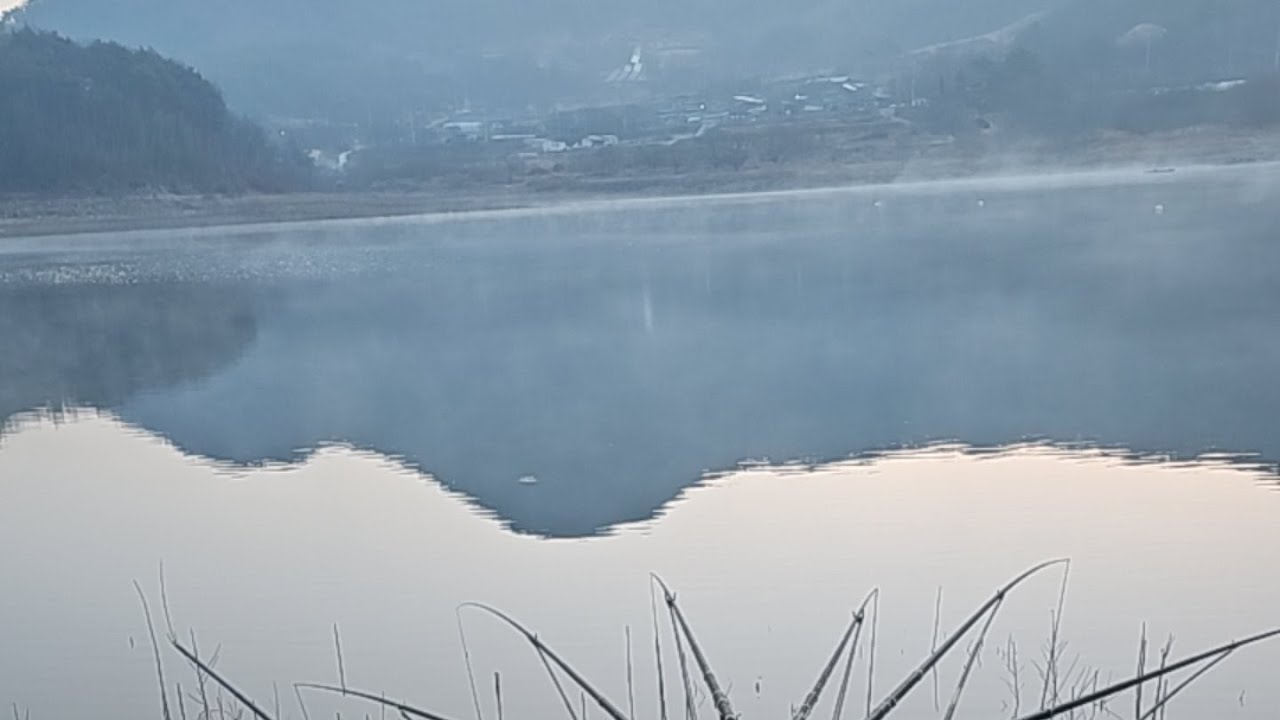 아름다운 합천호(합천댐) 낚시 노샘 라이브 스트리밍 중,깊은수심 예민한체비,이른 봄시즌 붕어 낚시