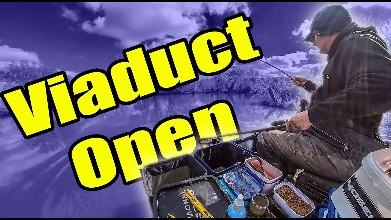 LIVE MATCH 2023 // Viaduct Fishery // Peg 128 // Carp & Skimmers in the Edge