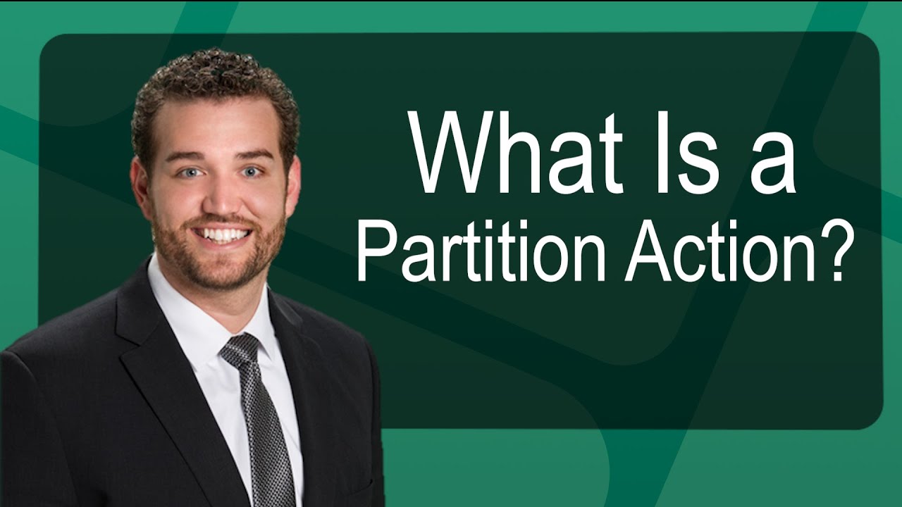 What Is a Partition Action?