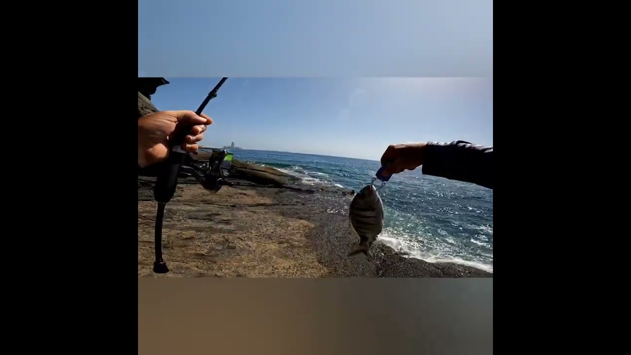 La Aji-do 5gr no falla 💪