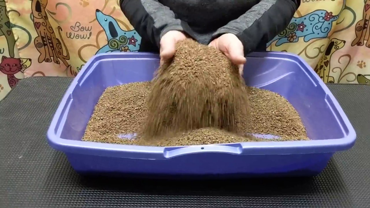 Walnut Cat Litter