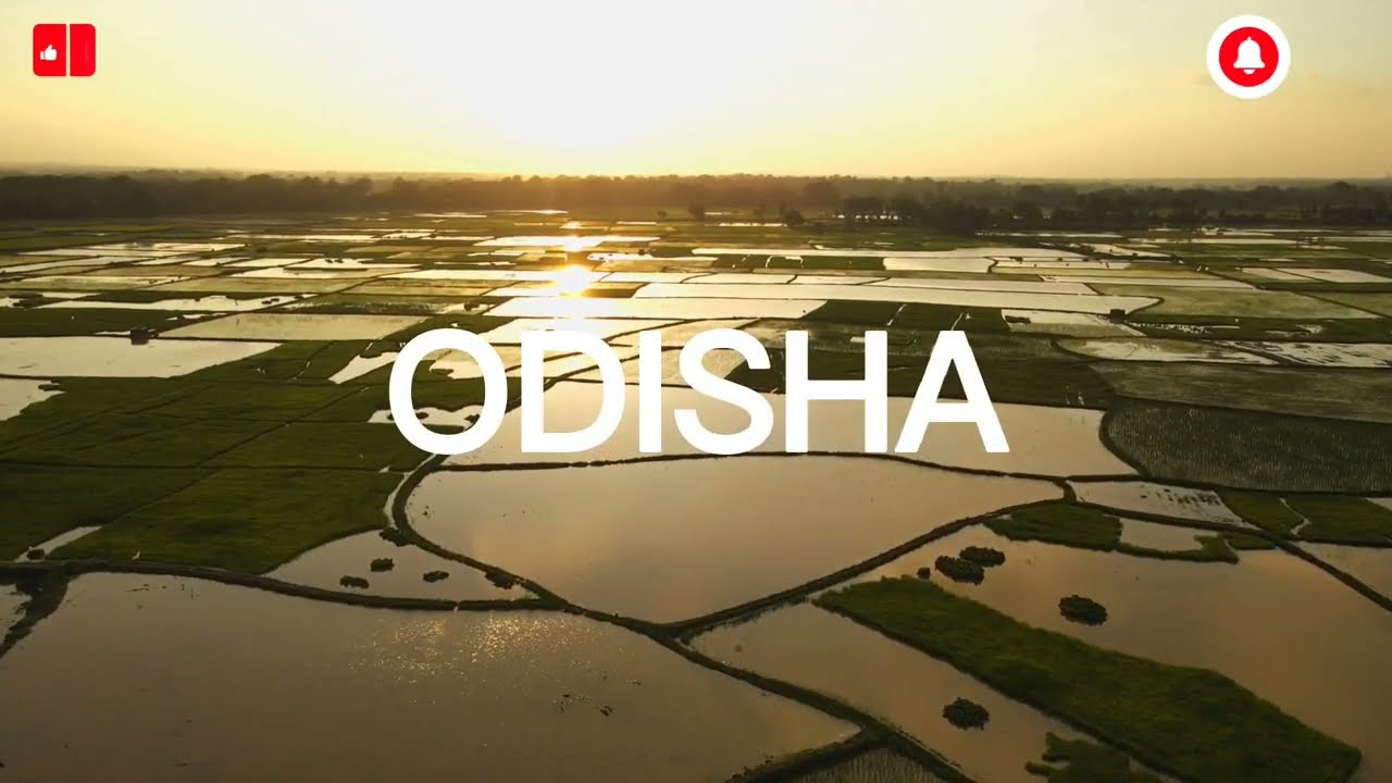 Odisha's Nature of Odisha @Beautiful Things 🌍✨#chilikalake #trending #viral #shorts #click