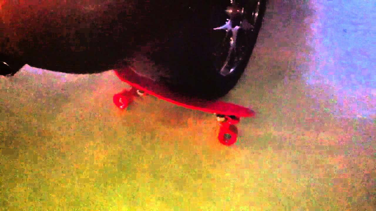 Penny Flex Test