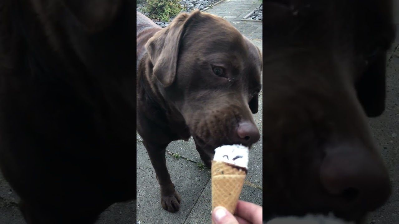 Mack eet/likt cornetto