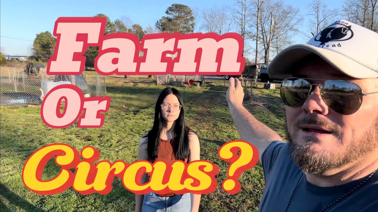 Budget Farming Can Be Fun. #fun #farming