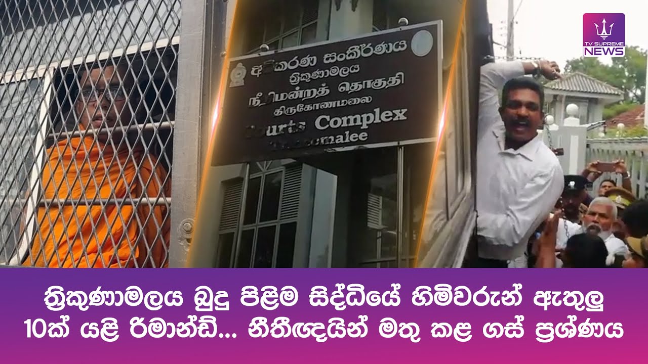 ත්‍රිකුණාමලය බුදු පිළිම සිද්ධියේ හිමිවරුන් ඇතුලු 10ක් යළි රිමාන්ඩ්... නීතීඥයින් මතු කළ ගස් ප්‍රශ්ණය
