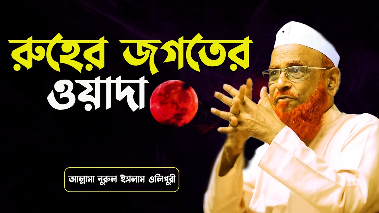 রুহের জগতের ওয়াদা || আল্লামা নুরুল ইসলাম ওলিপুরী nurul islam olipuri