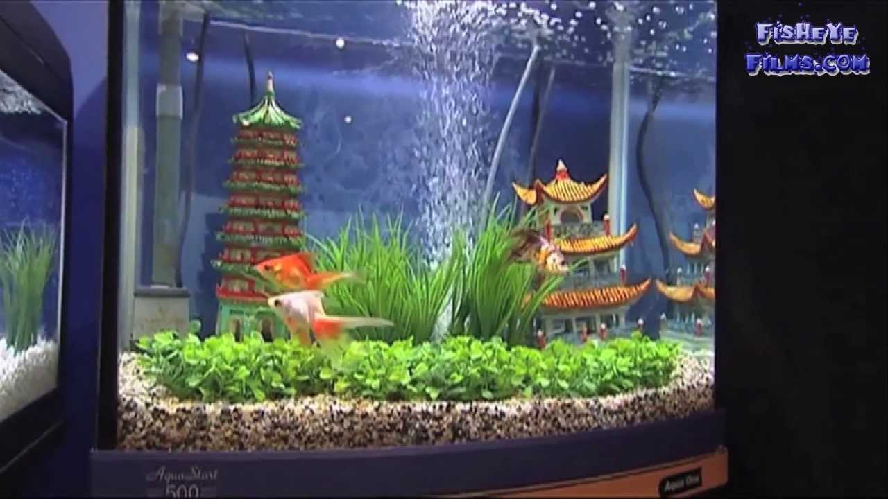 Aquaone AquaStart 320, 500, UFO 350 AquaMode 300