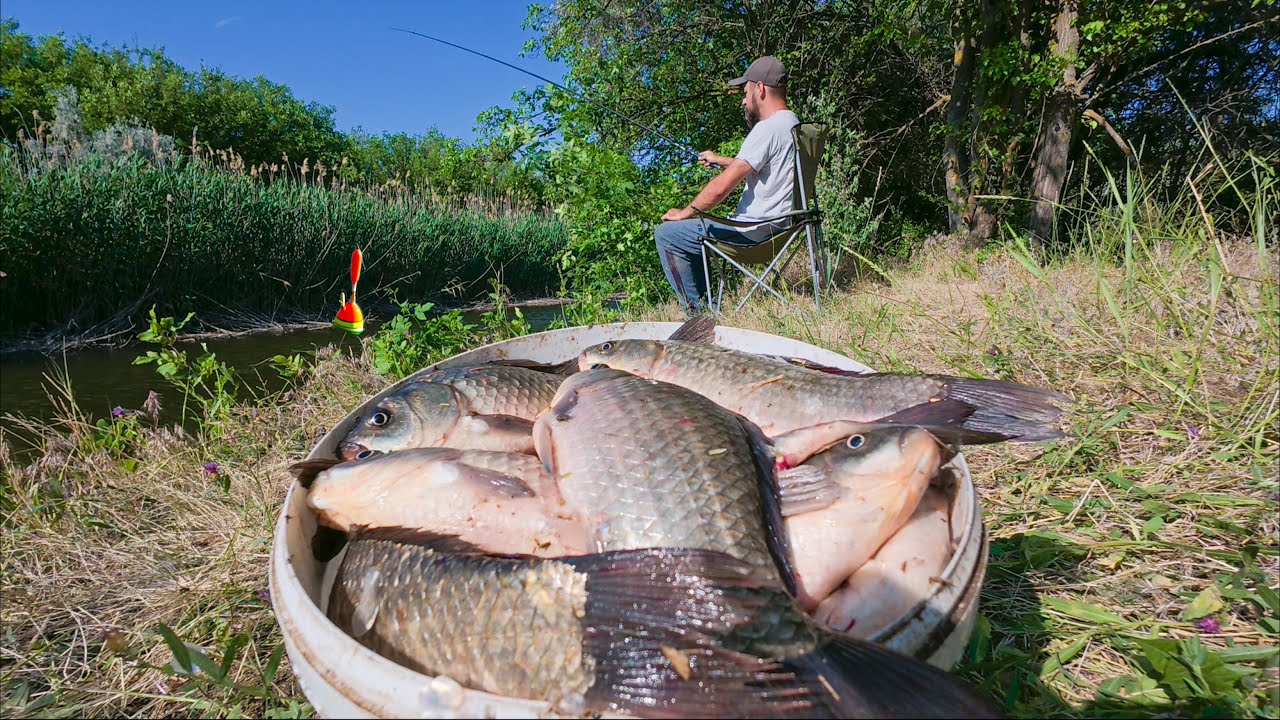 НАЖИВКА ПОД НОГАМИ! СОБИРАЙ ДА ЛОВИ! СУМАСШЕДШИЙ КЛЁВ КАРАСЯ! ПОЛНОЕ ВЕДРО. ПРОЩЕ НЕКУДА.