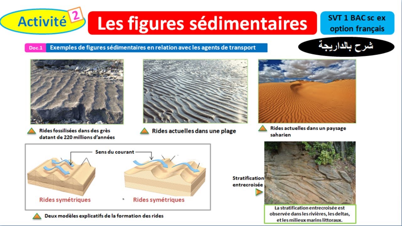 Les figures sédimentaires svt 1 Bac sc ex option français (شرح بالداريجة)