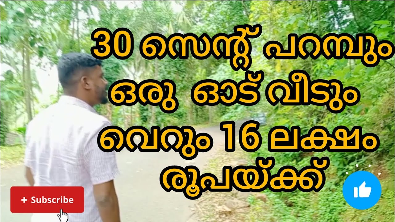 # 23 #പാലക്കാട് ജില്ലയിൽ #realestate #പറമ്പ്
