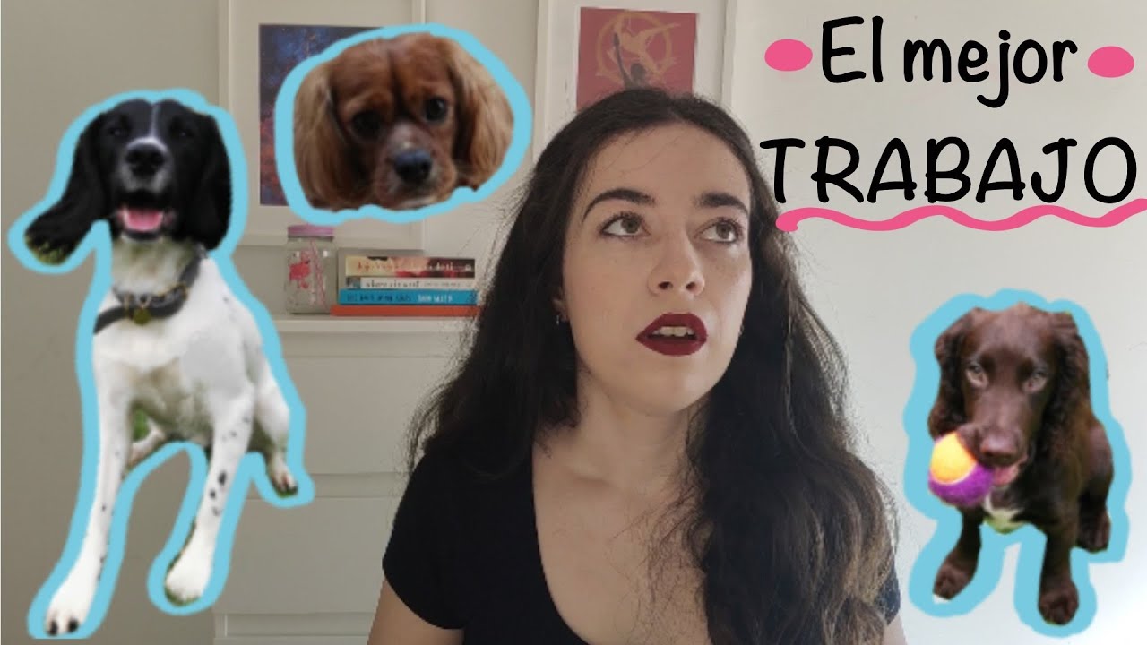 El MEJOR trabajo extra para au pairs//Tailster: MI EXPERIENCIA// Marialoking