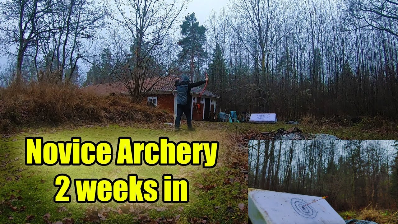 Novice Archery - 2 Weeks In