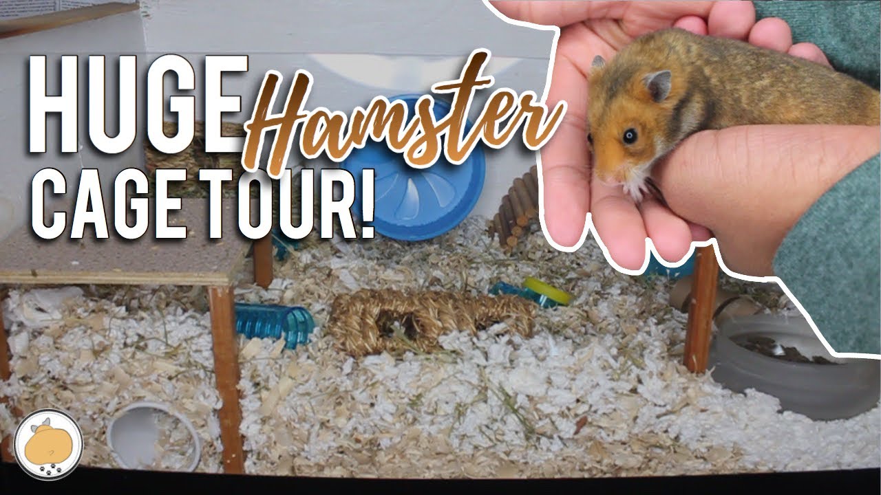 HUGE Natural Hamster Cage TOUR! | DIY Hamster Cage (German)