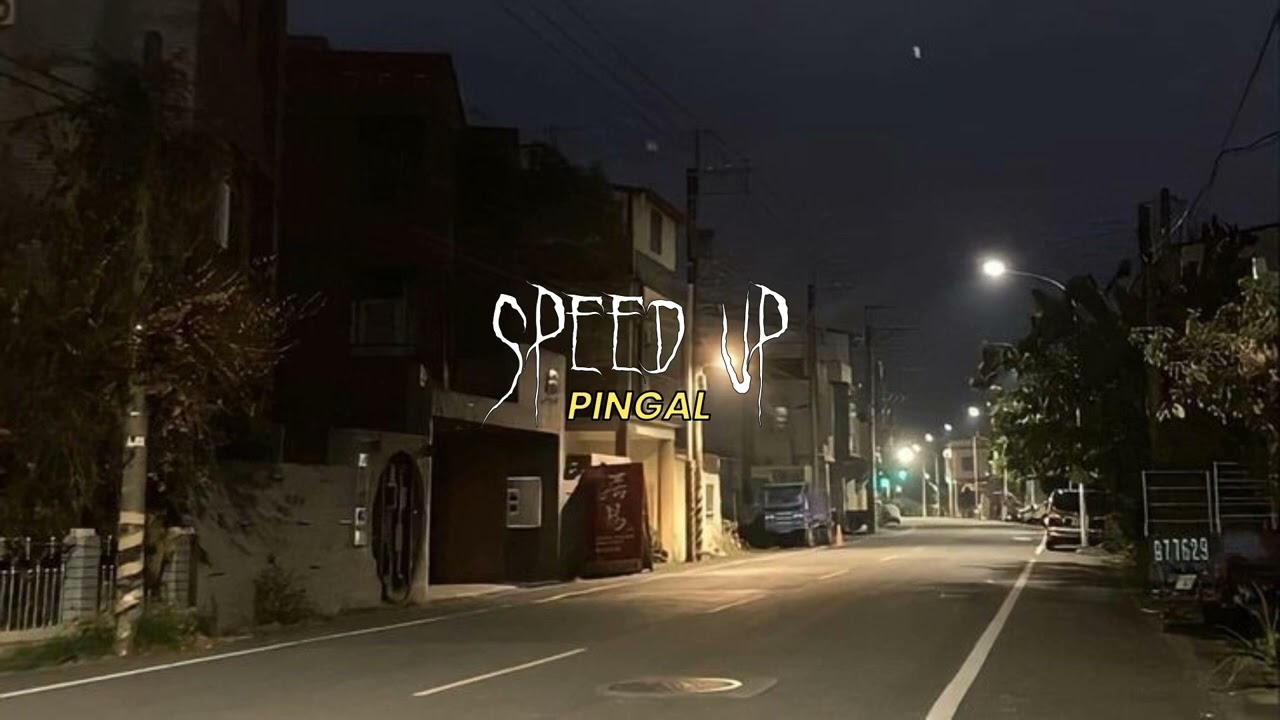 PINGAL - Speed Up