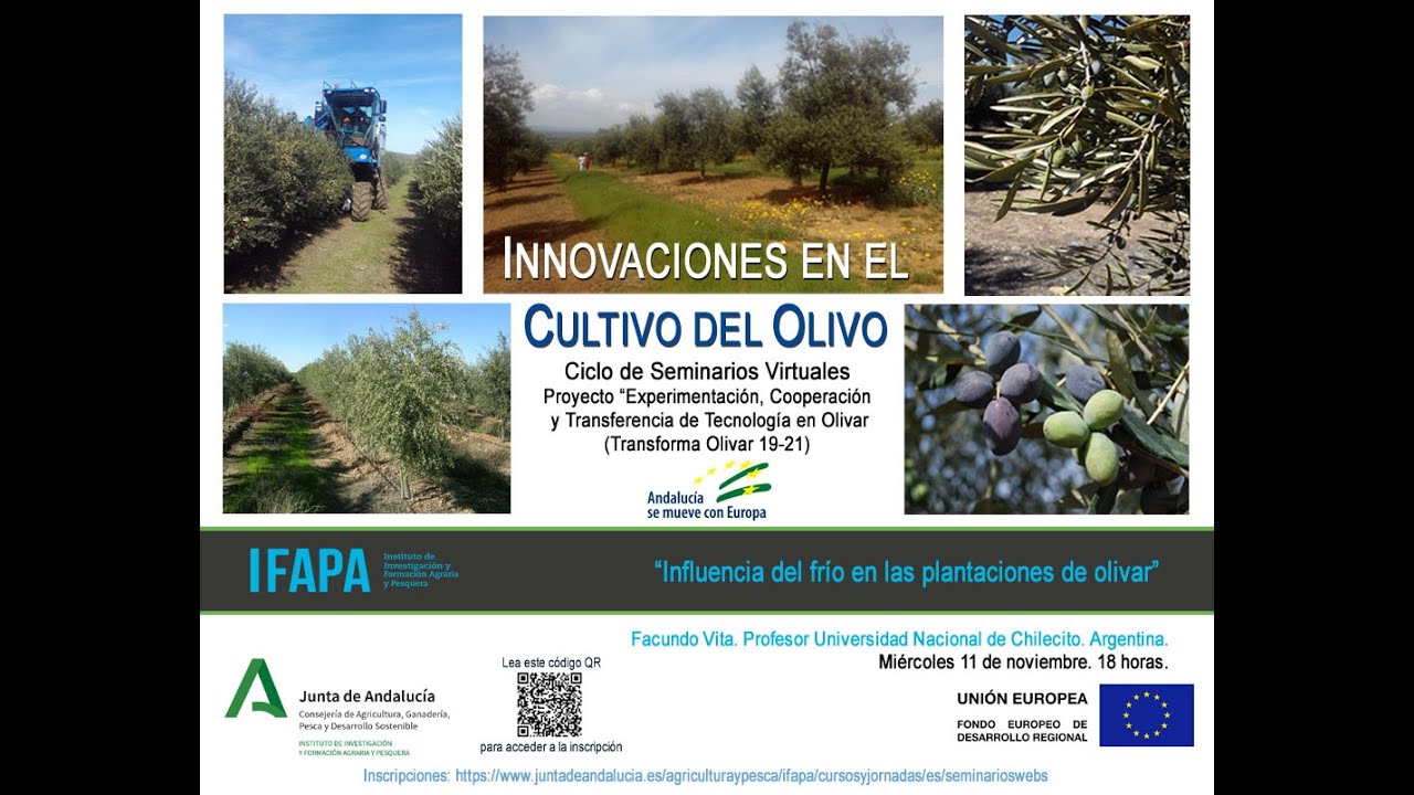 Influencia del frío en las plantaciones de olivar - Webinar 11noviembre2020
