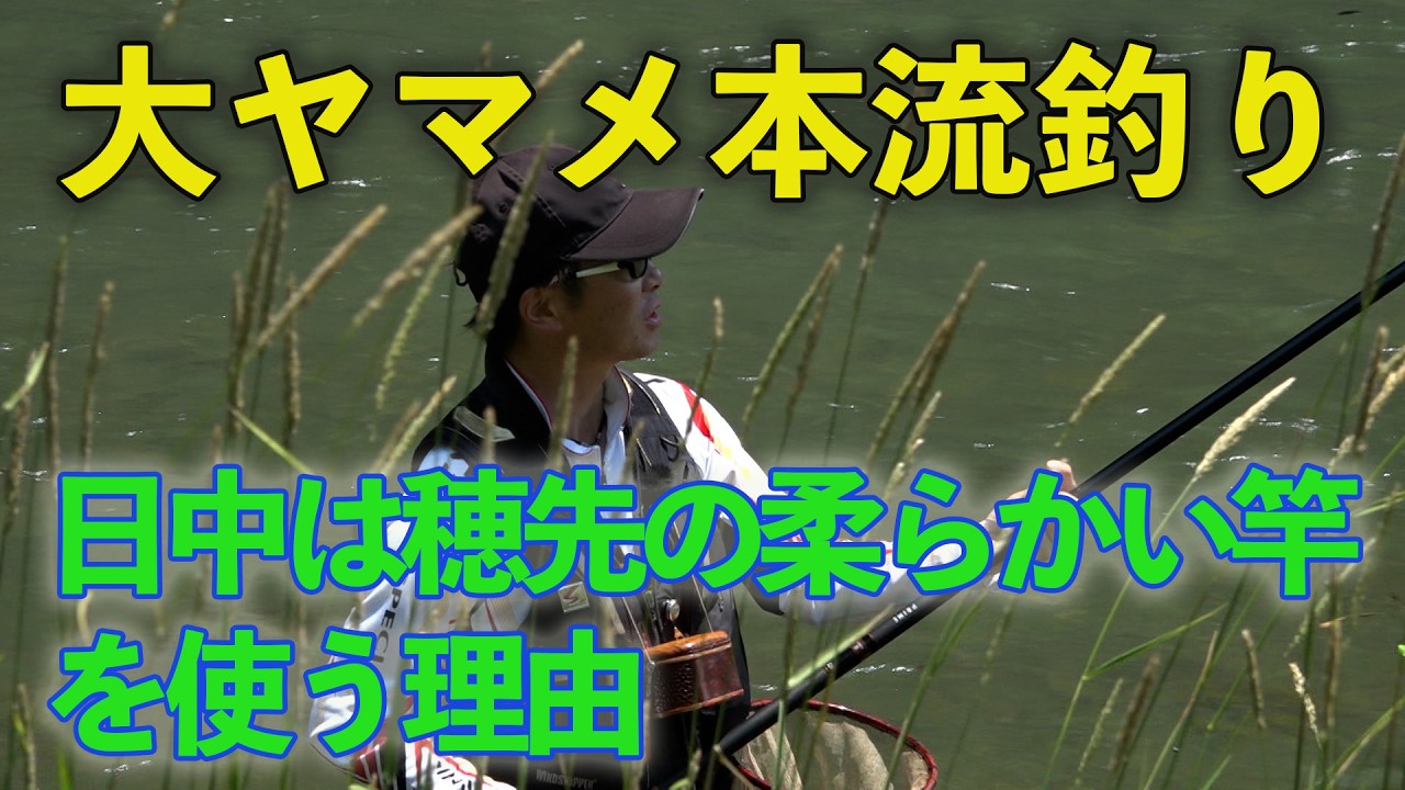 大ヤマメ本流釣り 日中は穂先の柔らかい竿を使う理由