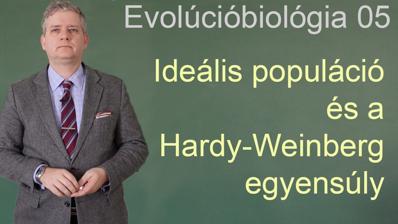 Evolúcióbiológia05 - Ideális populáció és a Hardy-Weinberg egyensúly