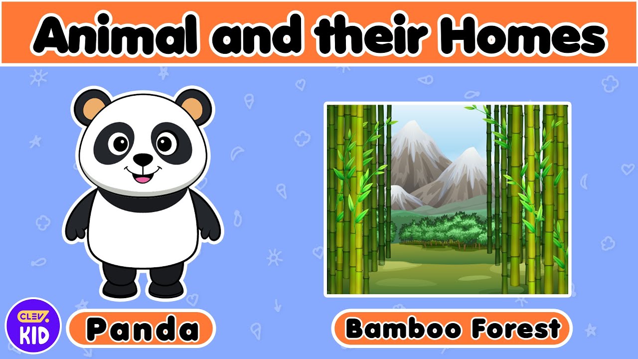 ClevKid | Animal Homes for Kids, Toddlers & Preschool