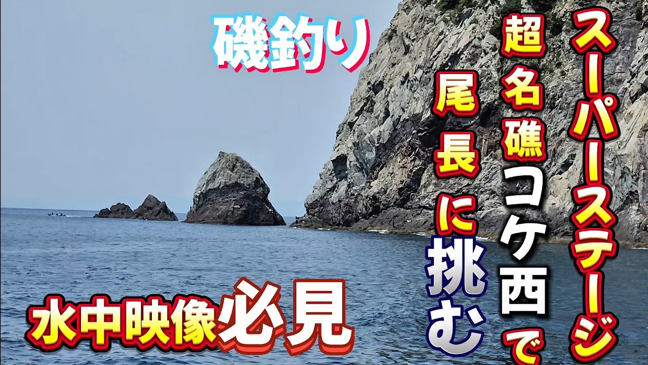 四国西南部　中泊　磯釣り　水中映像　50　60センチの尾長メッチャメッチャ居るやん‼️