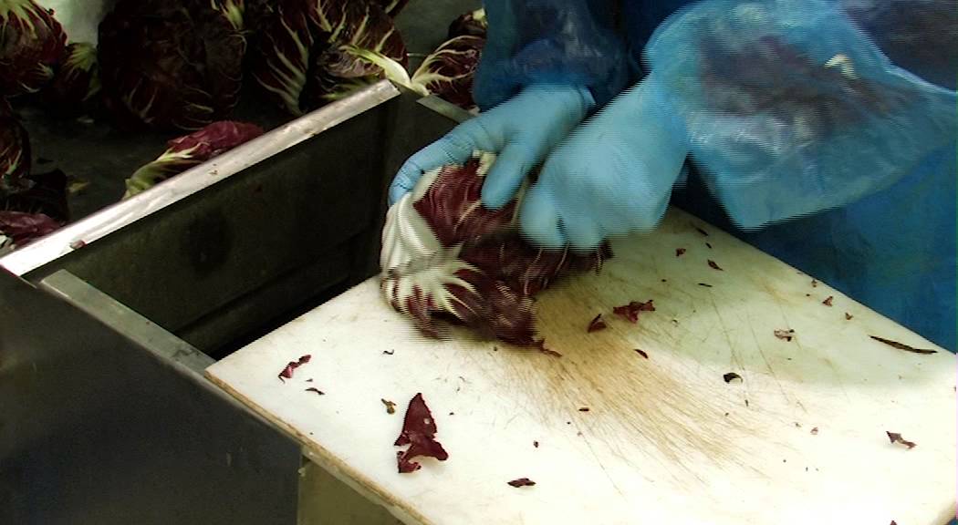Linea Lavorazione IV gamma Naddeo: mix salad