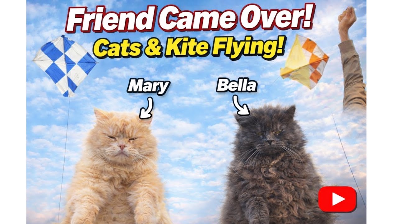 Kite Flying 🪁 | Fun Day With Friend, Cats 🐈 & | Mary 🐱& Bella 🐈‍⬛Daily Vlog