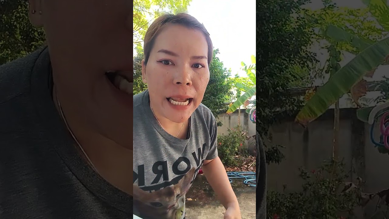 @หนุงหนิง ล้างรถขั้นตอนสุดท้าย