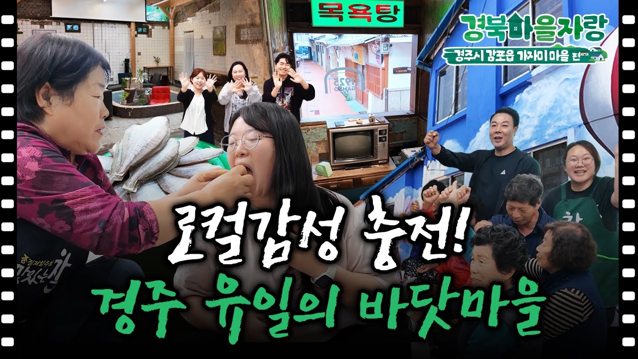 로컬 힐링🏖️ 바다 품은 경주 감포, 가자미 마을 이야기｜경북마을자랑🏠