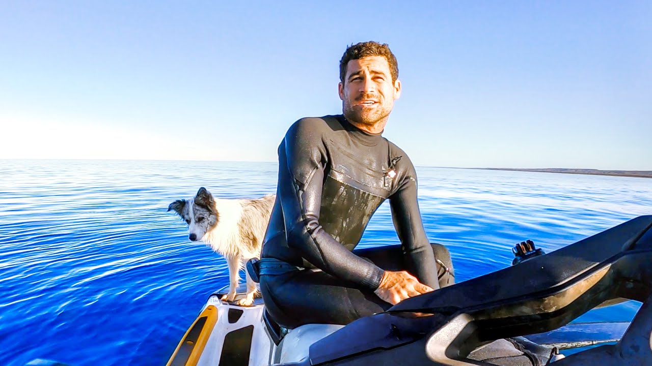 Solo Living From The Ocean Eating What I Catch (New Bike & Amazing Whales) - Ep 229