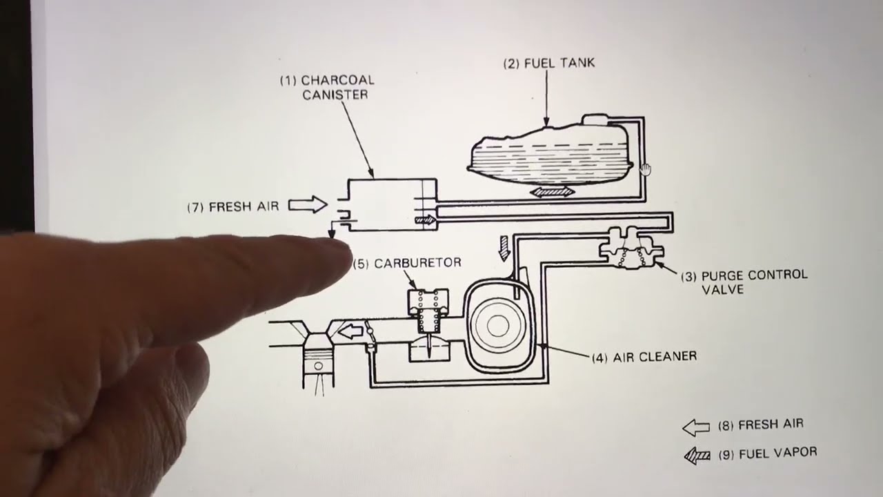 Carburetor and Hoses explained  Honda elite 150