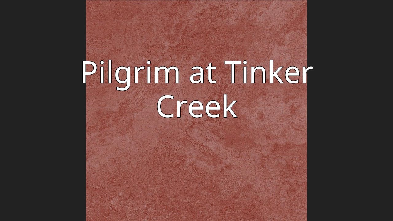 Pilgrim at Tinker Creek