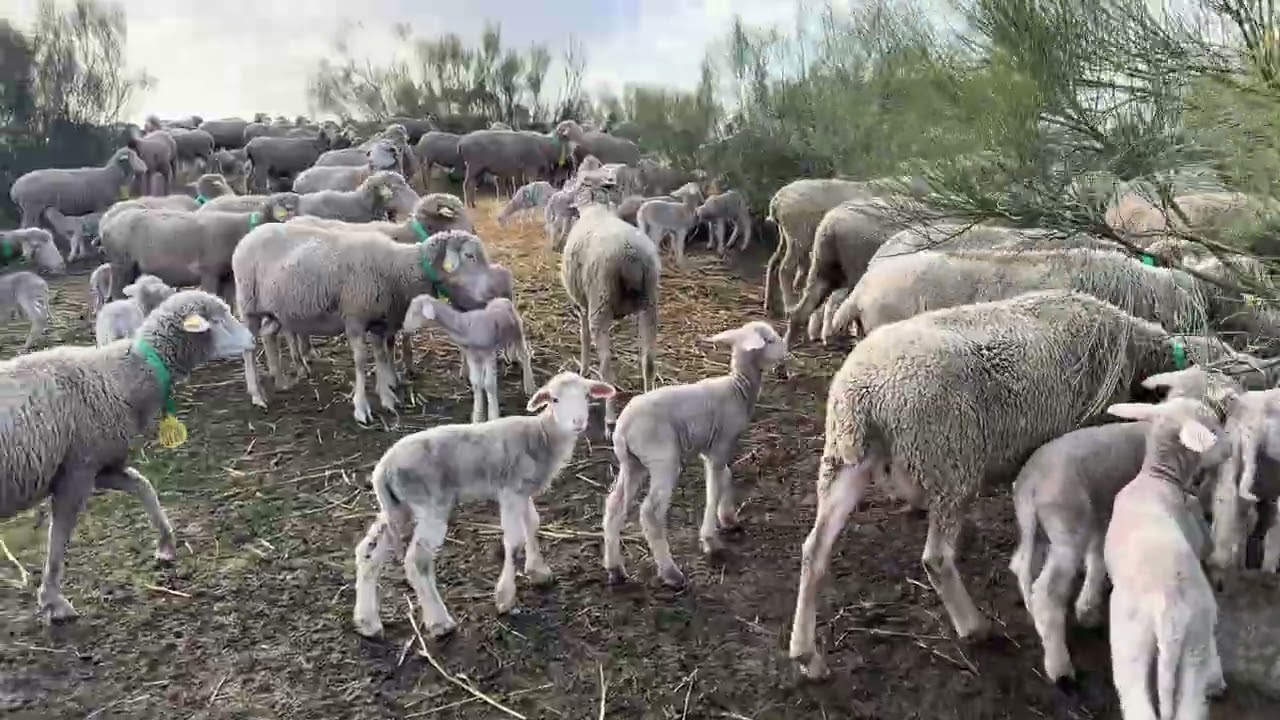 Se terminó esta paridera. Hasta la de marzo 👍