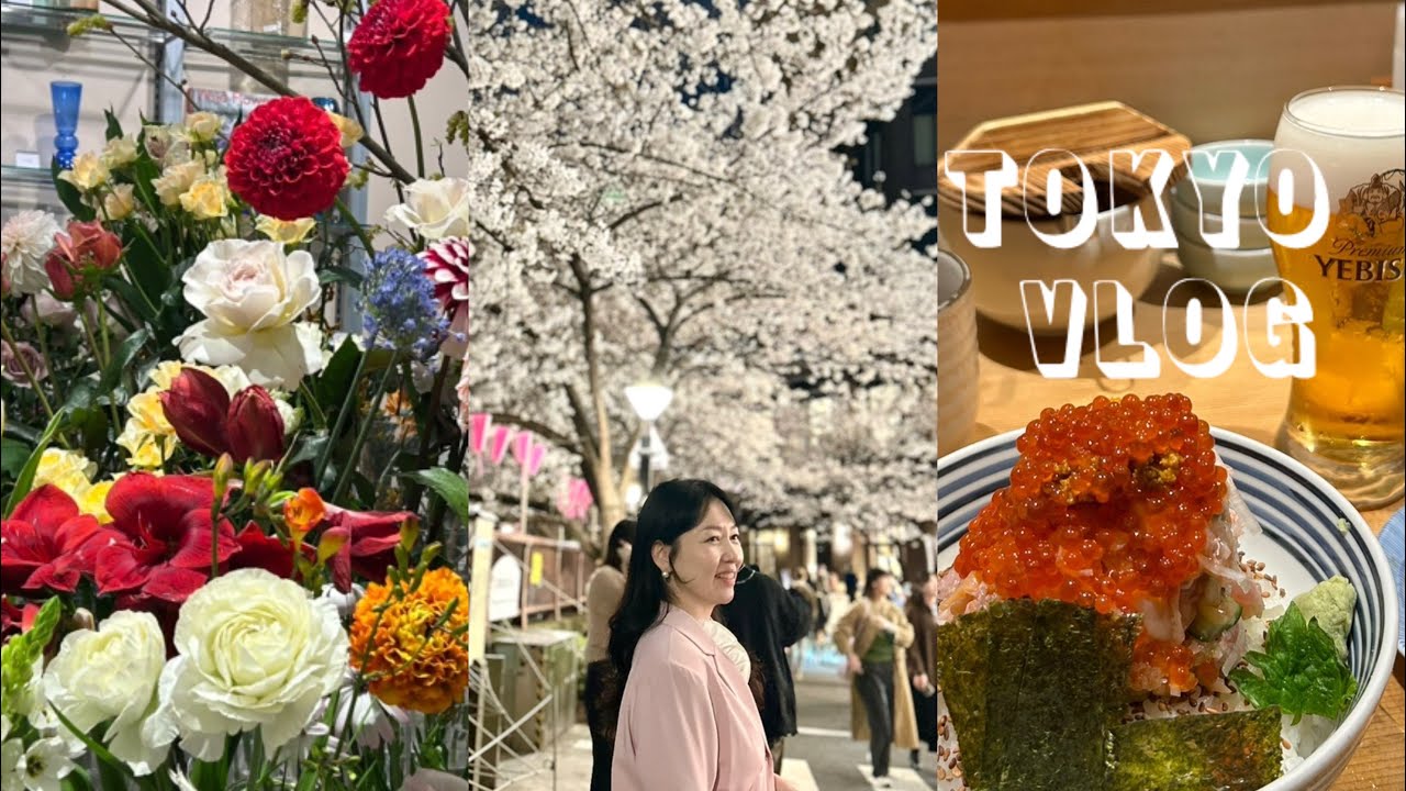 도쿄여행vlog🌸4월의 벚꽃과 함께하는 도쿄💐긴자호텔,푸글렌,츠지한,이자카야 들르는 나혼자도쿄😍