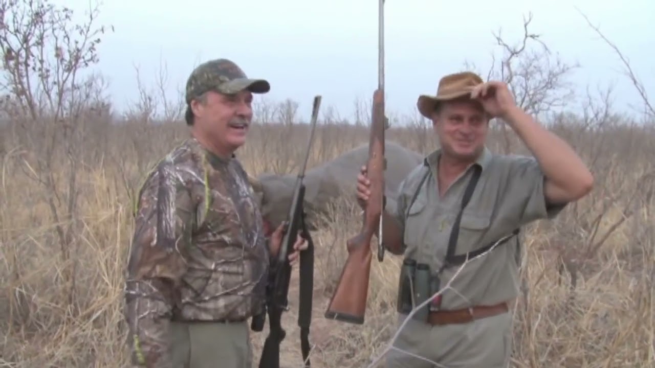 80 lb Elephant hunted in Zimbabwe -Mabula Pro Safaris