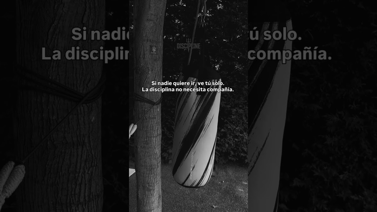 DISCIPLINE 🔱. #disciplina  #mentalidadfuerte  #noexcuses  #gymmotivacion #gymmindset