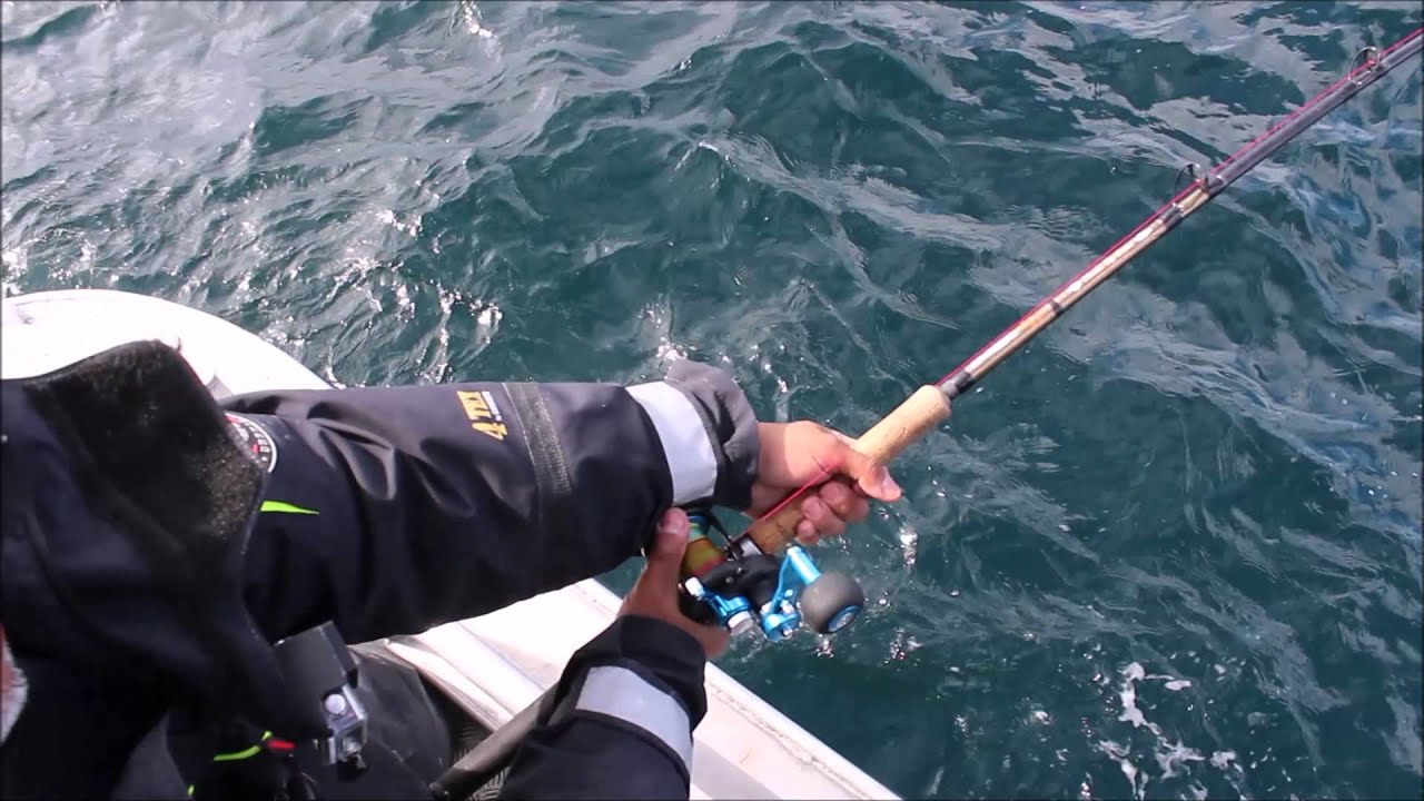 Big Monster HALIBUT in Norway - 219 cm 300 LBS  (h&auml;lleflundra, kveite)