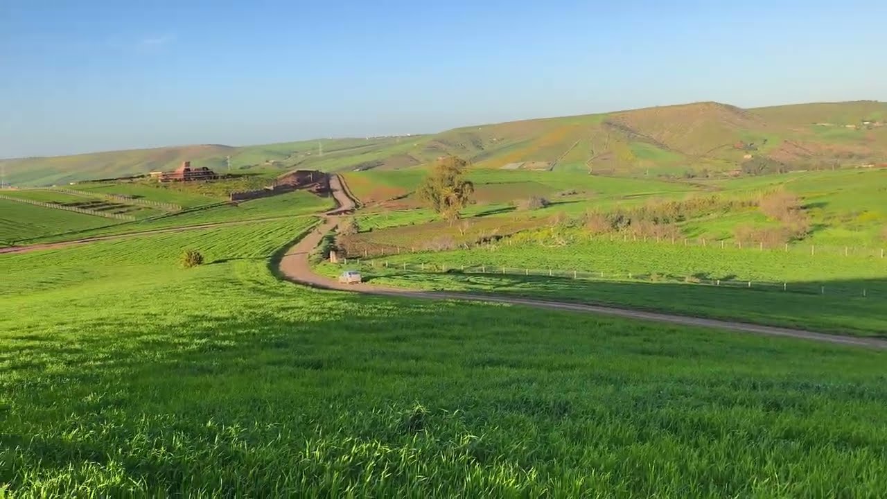 0661467850الارض بونرامي هكتارين و2000محفظة مدينة ابن سليمان جماعة ولا يحي لوط 
