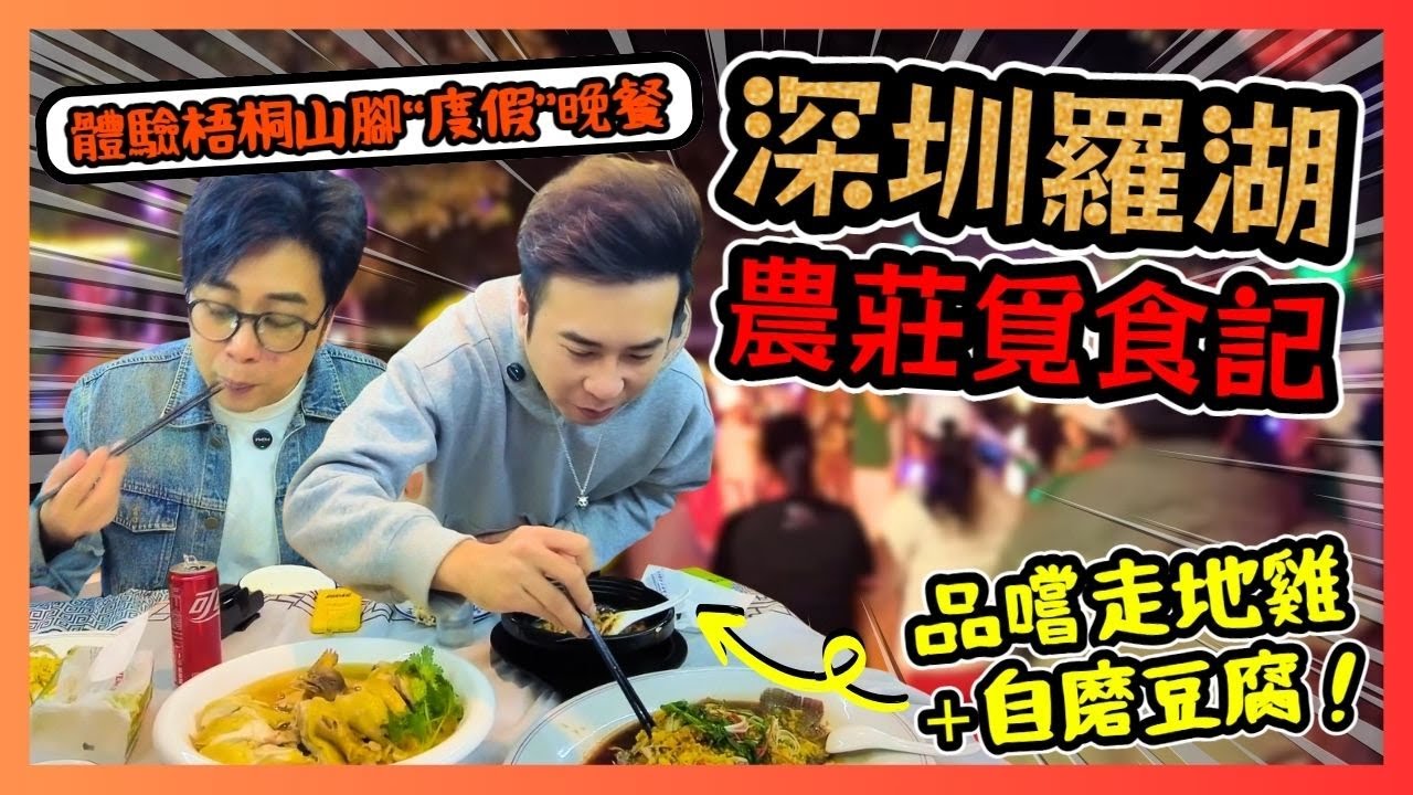 深圳羅湖農莊覓食記 梧桐雞哥農家樂🐔！從口岸出發20分鐘 直達山野梧桐山腳🚖！品嚐走地雞+自磨豆腐😋！