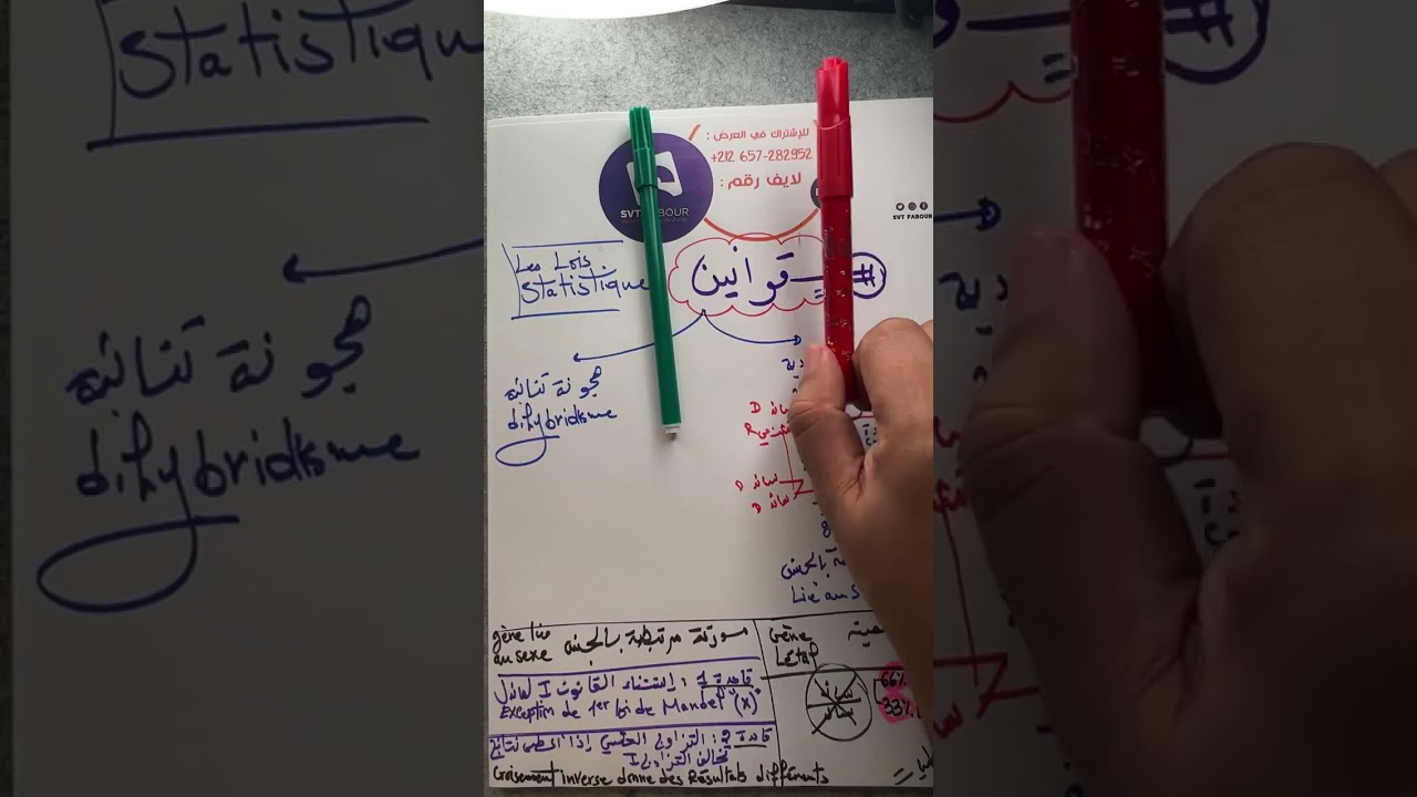 مراجعة أخيرة 🚨 القوانين الإحصائية les lois statistiques 🔥 Svt fabour Bac 2024