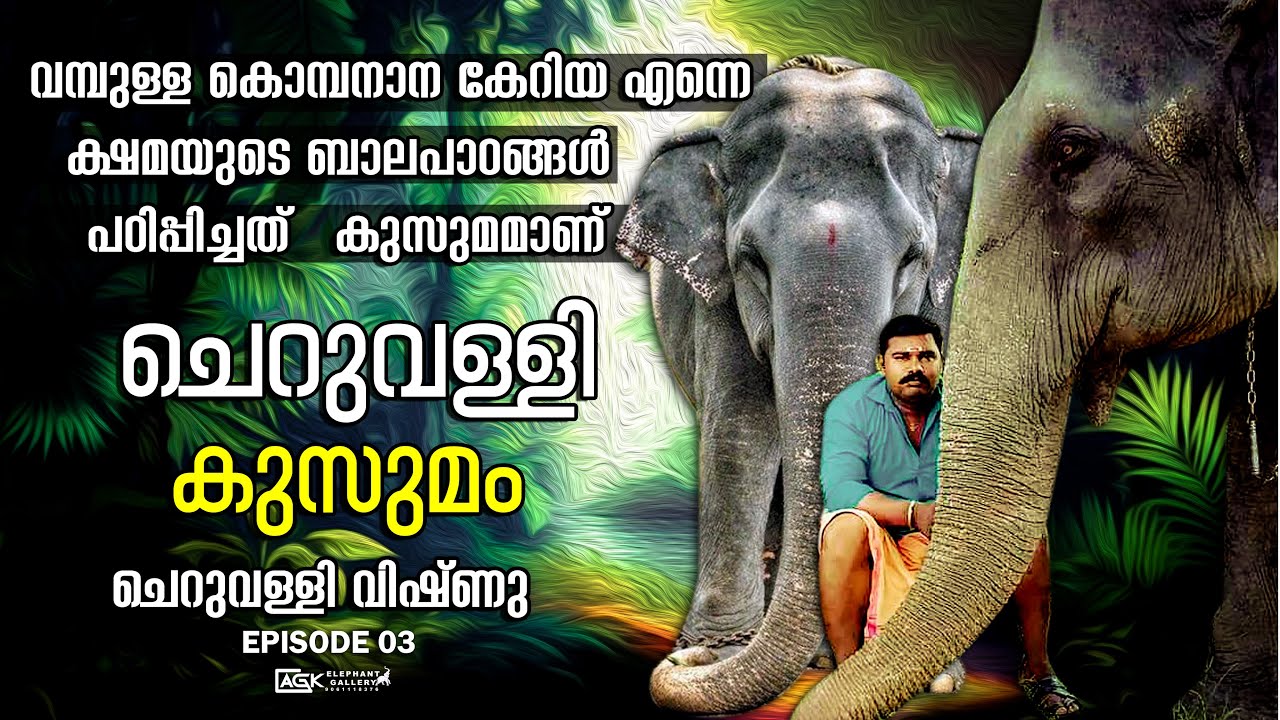 ചെറുവള്ളി കുസുമം | ചെറുവള്ളി വിഷ്ണു | EP 03