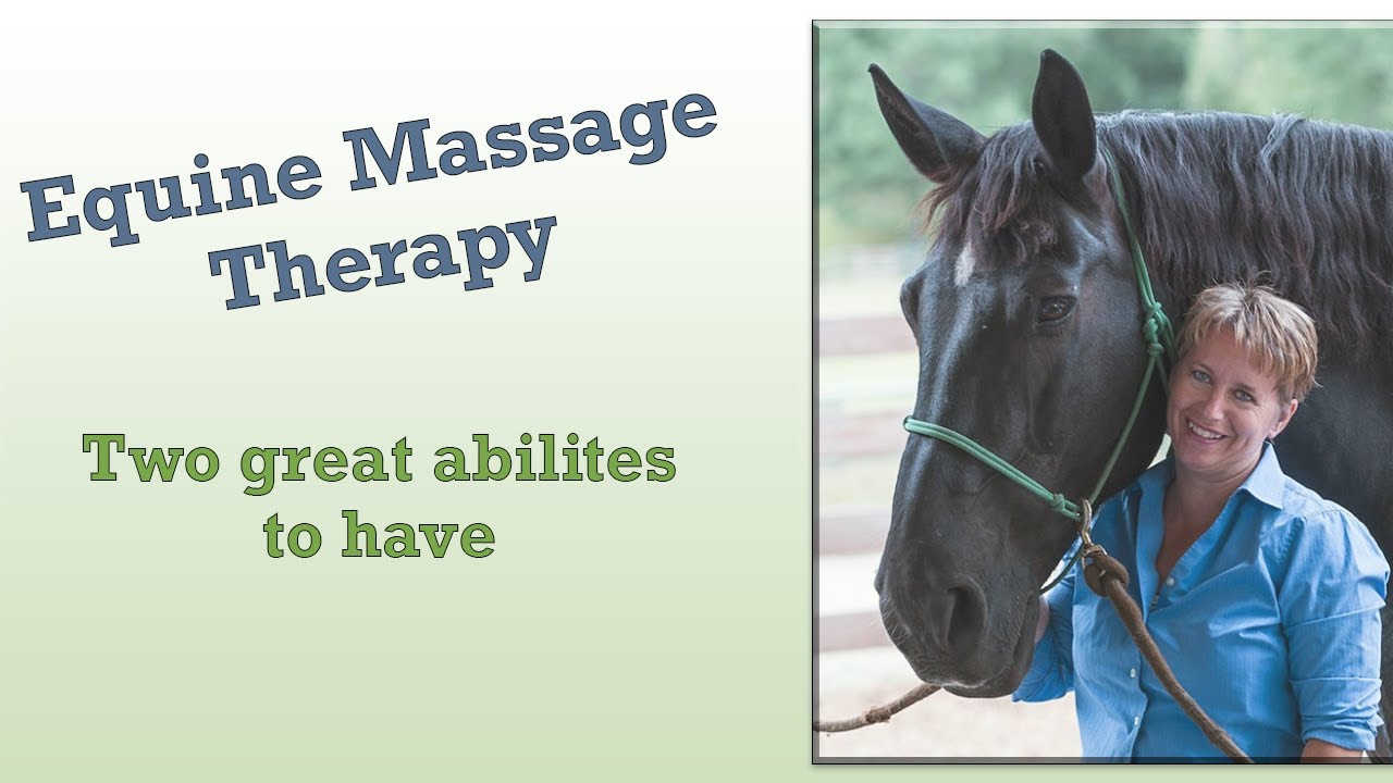 Equine Massage Therapy: Two Great Abilities to Have