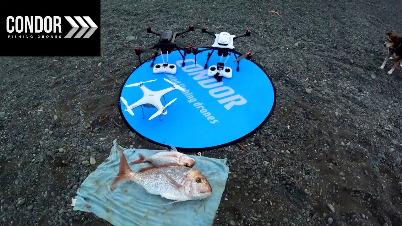 Fun Day Fishing With 3 CONDOR DRONES & Smoked Pies