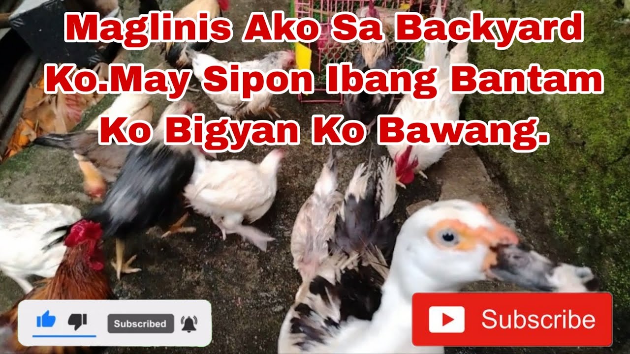May Sipon Yung Ibang Bantam Bawang Lang Ang Solution Linis Muna Langyan Ko Ng Sabon.